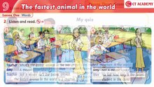 FAMILY AND FRIENDS 3 - Unit 9: THE FASTEST ANIMAL IN THE WORLD