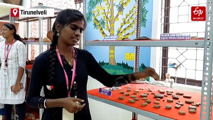 Archaeology Department At Manonmaniam Sundaranar University in Tirunelveli Puts Excavations, Investigations On Fast Track