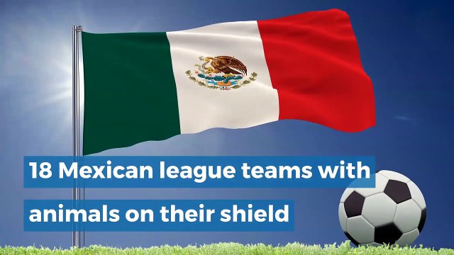 18 Mexican league teams with animals on their shield