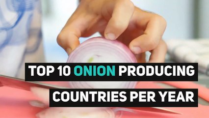 Top 10 Onion Producing Countries per year