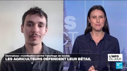 Dermatose nodulaire contagieuse : "Une maladie qui a jusqu'à présent été assez difficile à entraver"