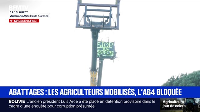 Abattages: Les gens ont peur d'une euthanasie totale de leur troupeau , assure cet éleveur dans l'Ariège