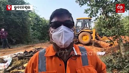 ଉଦ୍ଧାର ହେଲା ହାତୀ ରାମୁ ର କଙ୍କାଳ, ଆଗାମୀ ଦିନରେ ଗବେଷଣାରେ ଲାଗିବ ଏସବୁ ଅସ୍ଥି