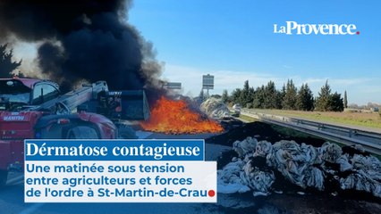 Dérmatose contagieuse : Une matinée sous tension  entre agriculteurs et forces  de l'ordre à St-Martin-de-Crau