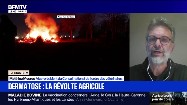 Dermatose bovine: C'est quand même compliqué d'intervenir encadré par des forces de l'ordre , assure Matthieu Mourou, vice-président du Conseil national de l'ordre des vétérinaires