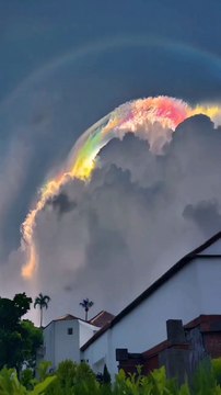 Enjoy this beautiful moment of nature