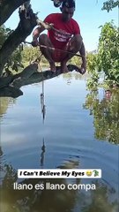 Wild Man Vs Wild Alligator 😳 What are your thoughts about this?  🎥: el_1veguero Via TT