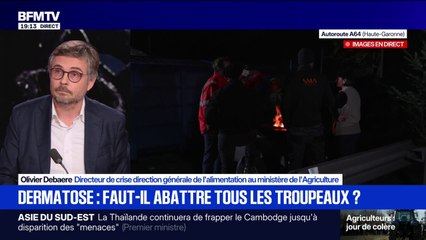 "Si vous mettez la vache de côté, vous ne mettez pas le virus de côté": Olivier Debaere, directeur de crise au ministère de l'Agriculture, défend l'abattage en cas de détection de dermatose bovine
