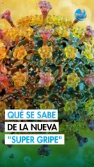 Qué se sabe de la ‘súper gripe’ H3N2 subclado K en México: síntomas y recomendaciones