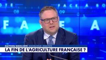 L'édito de Mathieu Bock-Côté : «La fin de l'agriculture française ?»