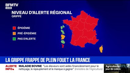 La France en alerte rouge face à l'épidémie de grippe