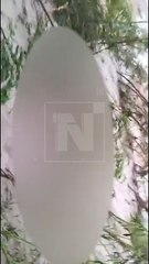 ENCUENTRAN A UNA PERSONA FALLECIDA