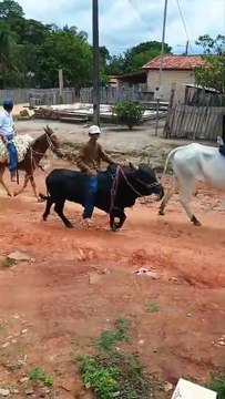 CAVALGADA NA VILA NOVO PLANALTO 4 BOCAS NOVO REPARTIMENTO PA