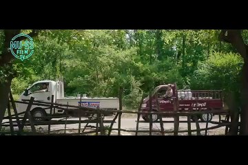 Düğün Dernek 2 izle ‼️komedi‼️yerli film izle