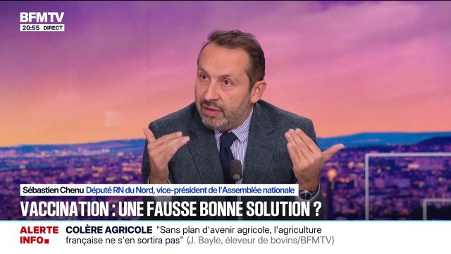 Dermatose bovine: pour Sébastien Chenu (RN), Annie Genevard sous-estime l'effet traumatique du monde paysan