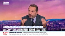 Dermatose bovine: pour Sébastien Chenu (RN), Annie Genevard 