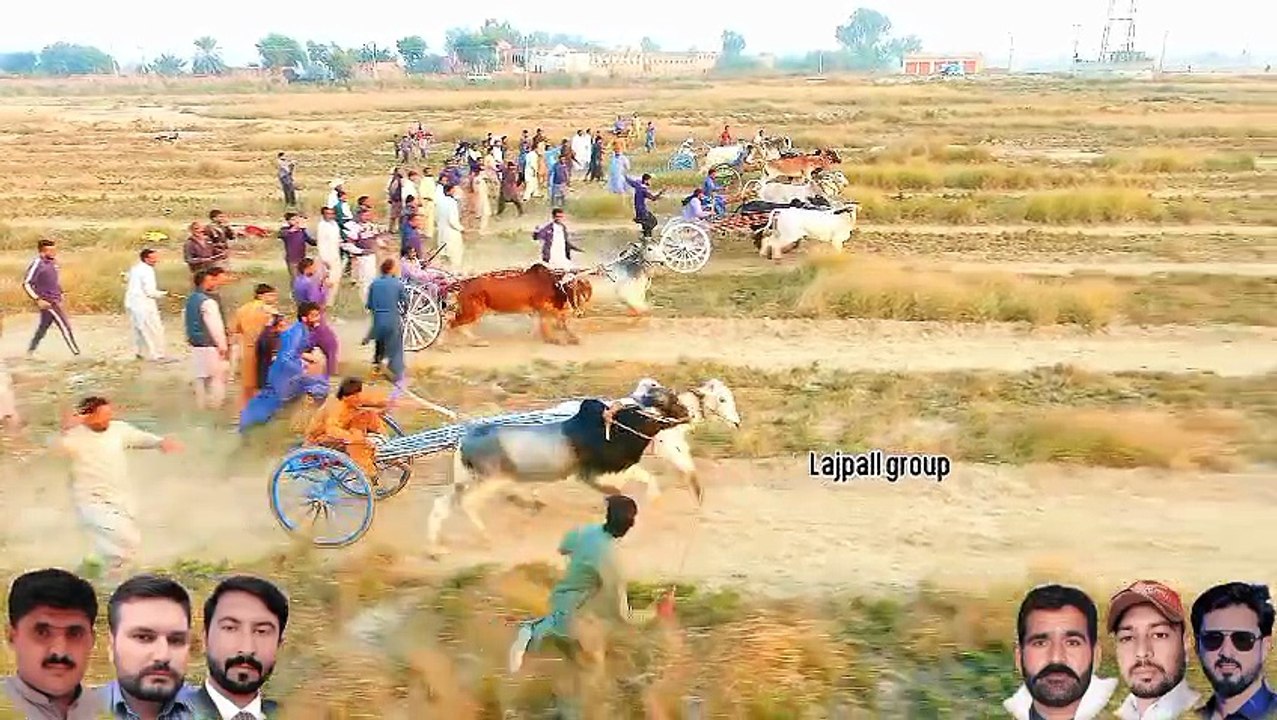 1000164675
