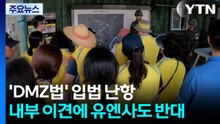 'DMZ법' 내부 이견에 유엔사도 반대...난항 불가피 / YTN