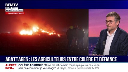 Dermatose bovine: "Je pense sincèrement qu'un protocole allégé sera synonyme de lutte allégée", assure Olivier Debaere, directeur de crise au ministère de l'Agriculture