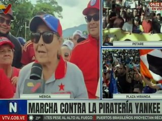 Merideños dijeron presente en la marcha contra la piratería yankee