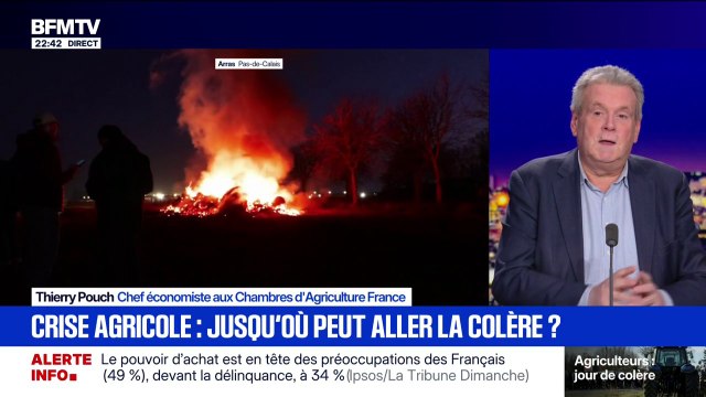 Dermatose bovine: C'est plusieurs millions de doses qu'il faudrait pour vacciner l'entièreté du cheptel français, assure Thierry Pouch, chef économiste aux Chambres d'Agriculture France