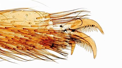 The Proof Is Out There Season 5 Episode 20