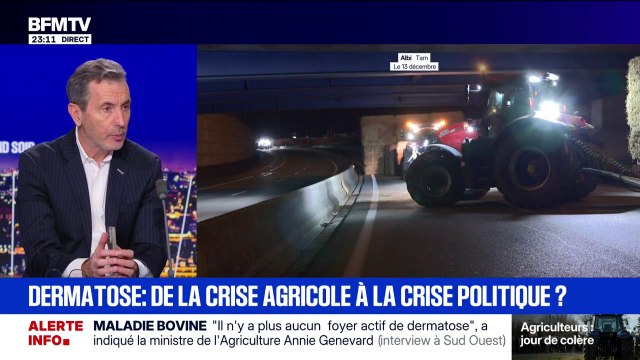 Crise agricole: la ministre de l'Agriculture, Annie Genevard, assure qu'il n'y a plus aucun foyer actif de dermatose bovine