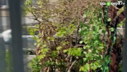 Gjeniu (Deha)-Episodi 85