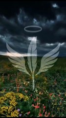 ✦✦ Edebiyat Sanatı – ES TV | Sevginin Kanatları