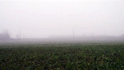 Æternum | movie | 2025 | Official Trailer