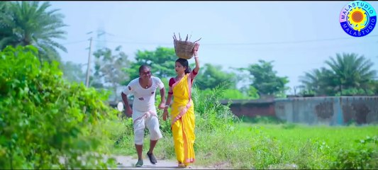 BEHANER PUSHA KUKURE || KUNDAN KUMAR & MIRA DAS || NEW PURULIA SONG || BABU RAO & SUJATA MAHATO