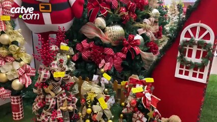 ONGs se unem em ação de Natal para ajudar animais em situação de abandono em Cascavel