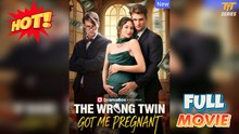 The Wrong Twin Got Me Pregnant Full Version Sky Garden