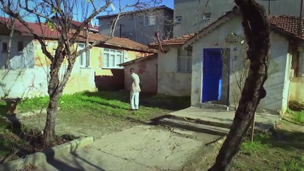 أليف الحلقة 81 - دوبلاج عربي