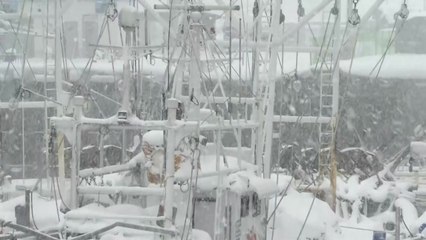 [날씨] 내륙 맑지만 반짝 추위, 미끄럼 주의...서해안 눈비 계속 / YTN