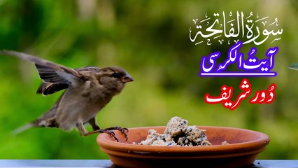 Surah Fatiha | Ayat-ul-Kursi | Durood Sharif | Shifa, Hifazat & Barkat(by Abbasi Studio)