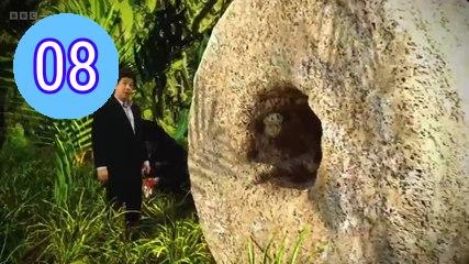 Michael McIntyres The Wheel Season 6 Episode 8 Engsub