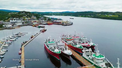 Ear to the Ground - Season 33 Episode 6