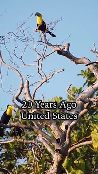 From Lost Heiress to Royal Highness