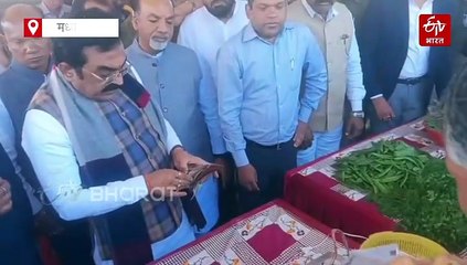 छिंदवाड़ा में लगेगा शुद्ध सब्जियों और अनाज का बाजार, जैविक और रासायनिक उत्पाद को ऐसे पहचानें