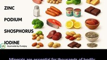 excellent food sources, categorized by the key mineral they provide