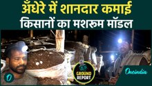 अँधेरे में खेती, सैकड़ों किसानों की कमाई | 45×20 फ़ीट में मशरूम मॉडल | ग्राउंड रिपोर्ट