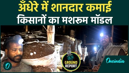 अँधेरे में खेती, सैकड़ों किसानों की कमाई | 45×20 फ़ीट में मशरूम मॉडल | ग्राउंड रिपोर्ट