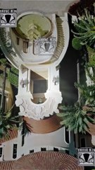 Blood and Bones of the Disowned Daughter Full Movie