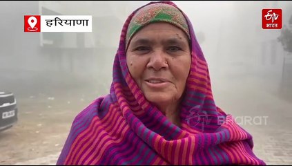 झज्जर और भिवानी में सीजन की पहली धुंध, वाहनों की रफ्तार पर लगी ब्रेक, किसानों के लिए वरदान है धुंध