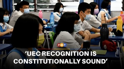 UEC recognition does not threaten Bahasa Melayu, says DAP Youth