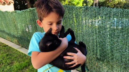 jasmine harmans renovation in the sun s01e03