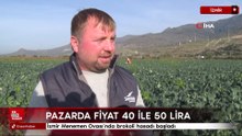İzmir Menemen Ovası’nda brokoli hasadı başladı