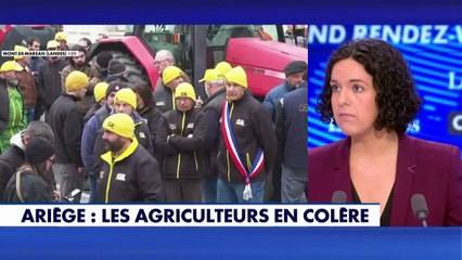 Colère agricole : «Cette gestion de la crise est complètement déconnectée de la réalité des agriculteurs», pointe Manon Aubry