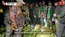 पौड़ी में आतंक का पर्याय बना बाघ ट्रेंकुलाइज, स्पेशल टीम ने किया पिंजरे में कैद